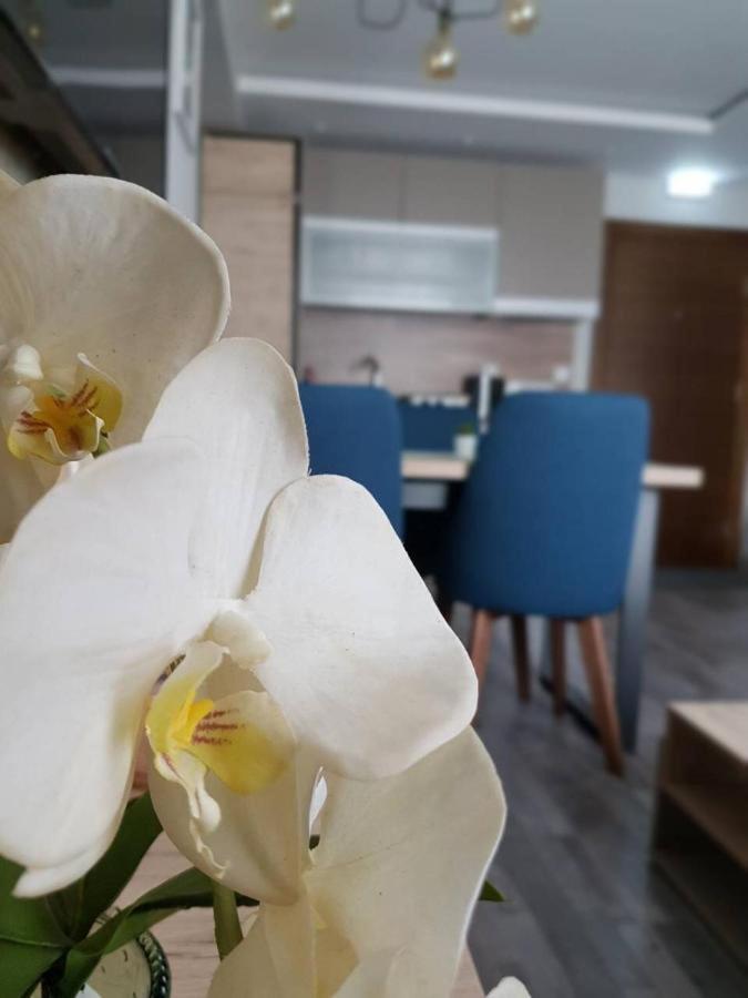 Apartman Premier 32 Milmari Kopaonik Ngoại thất bức ảnh